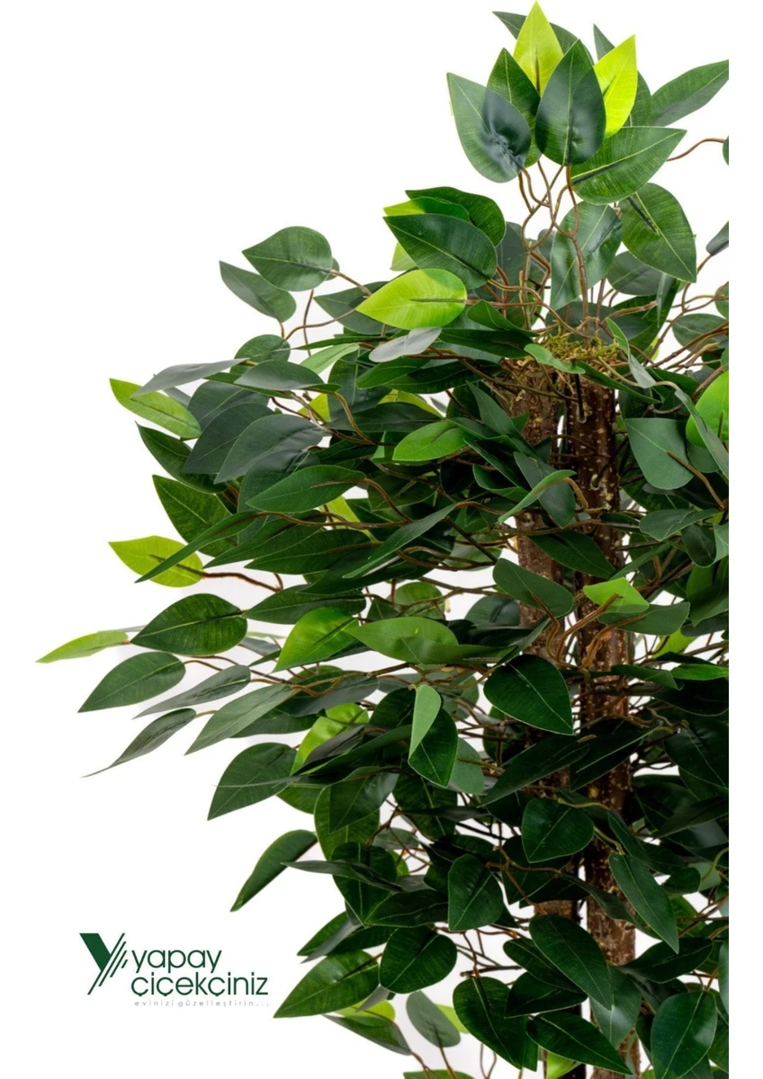 Gri Saksıda 100 cm Yoğun Yapraklı Gerçekçi Yapay Benjamin Ağacı